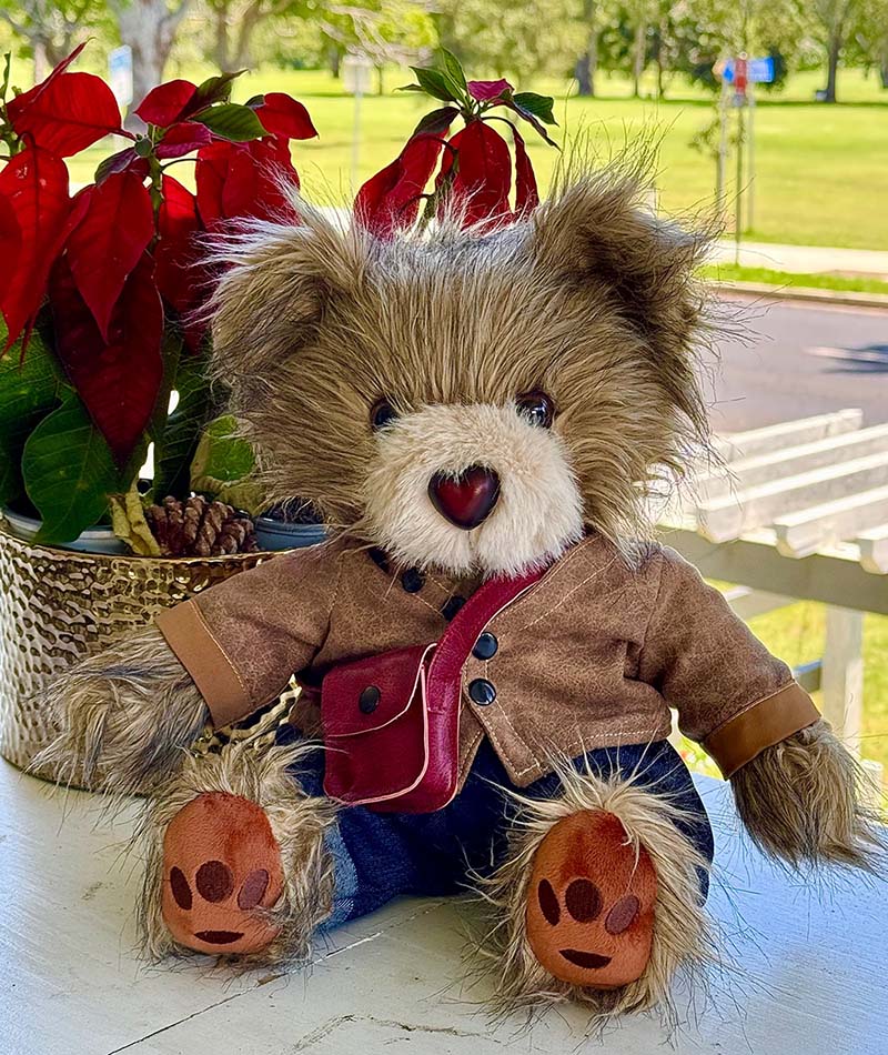 Button Heart bear character